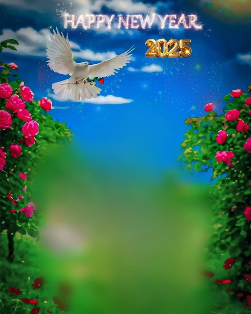 2025 New Year Photo Editing Background Free HD